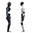 Leo the Household Humanoid Consumer-Grade AI Robot 
