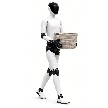 Leo the Household Humanoid Consumer-Grade AI Robot 