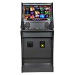 Spy Mission Casino Skill Game 